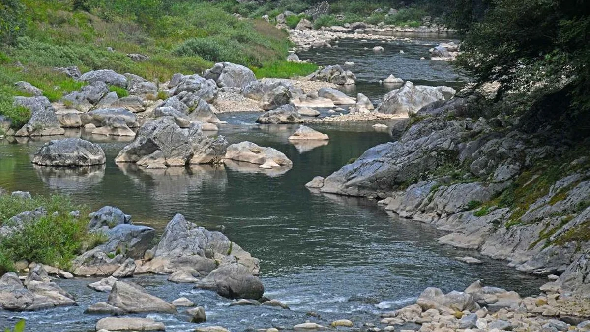 미산계곡