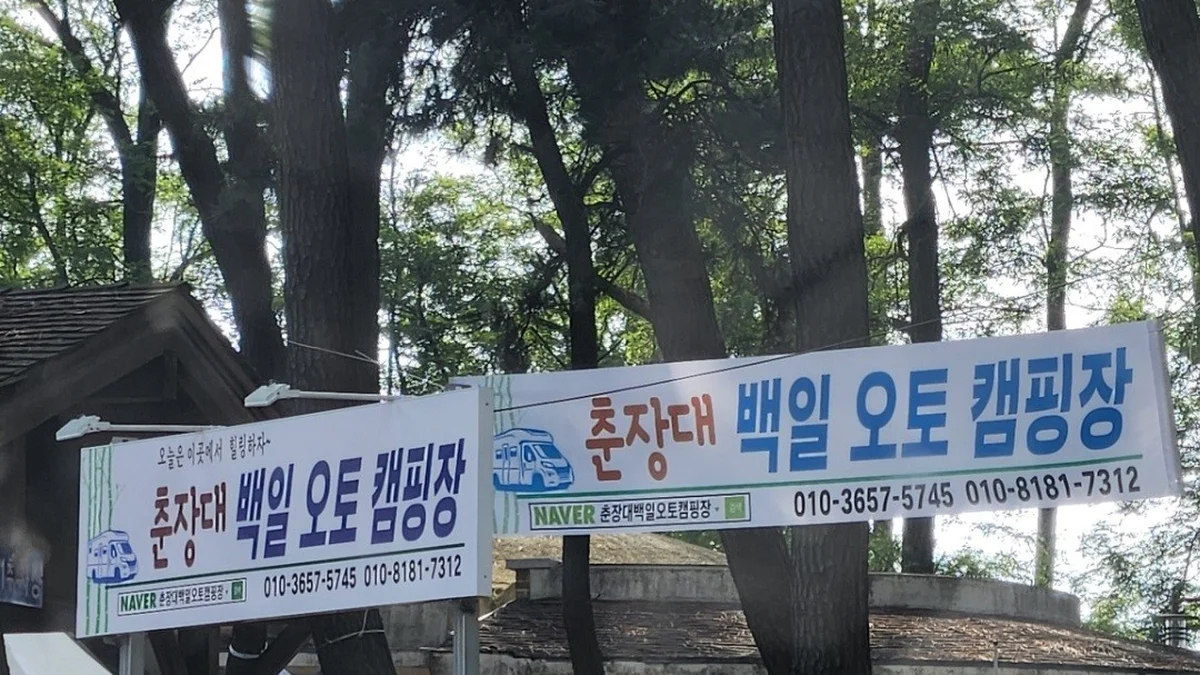춘장대 백일 캠핑장