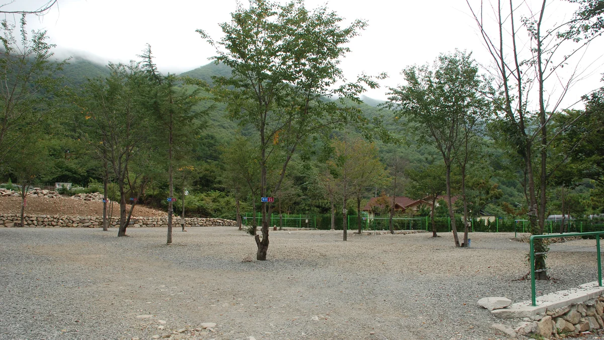 에코밸리 캠프
