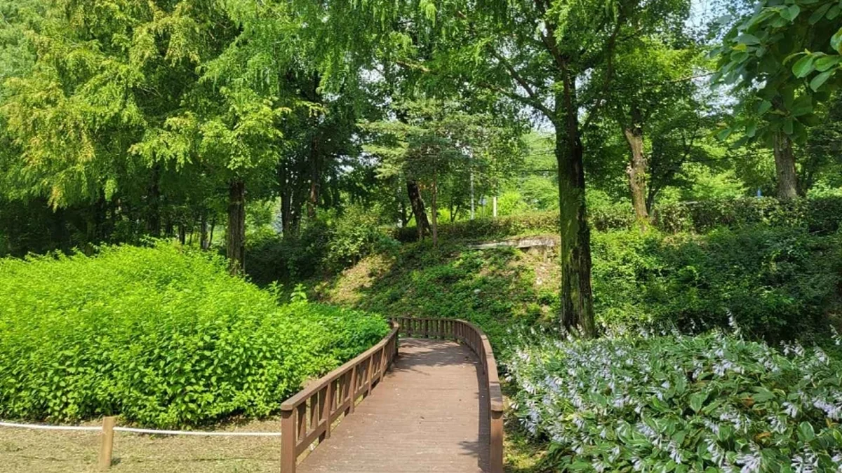 금강로하스 대청공원 (암석식물원)