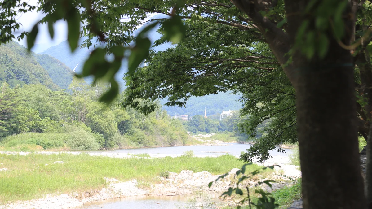 강변 야영장