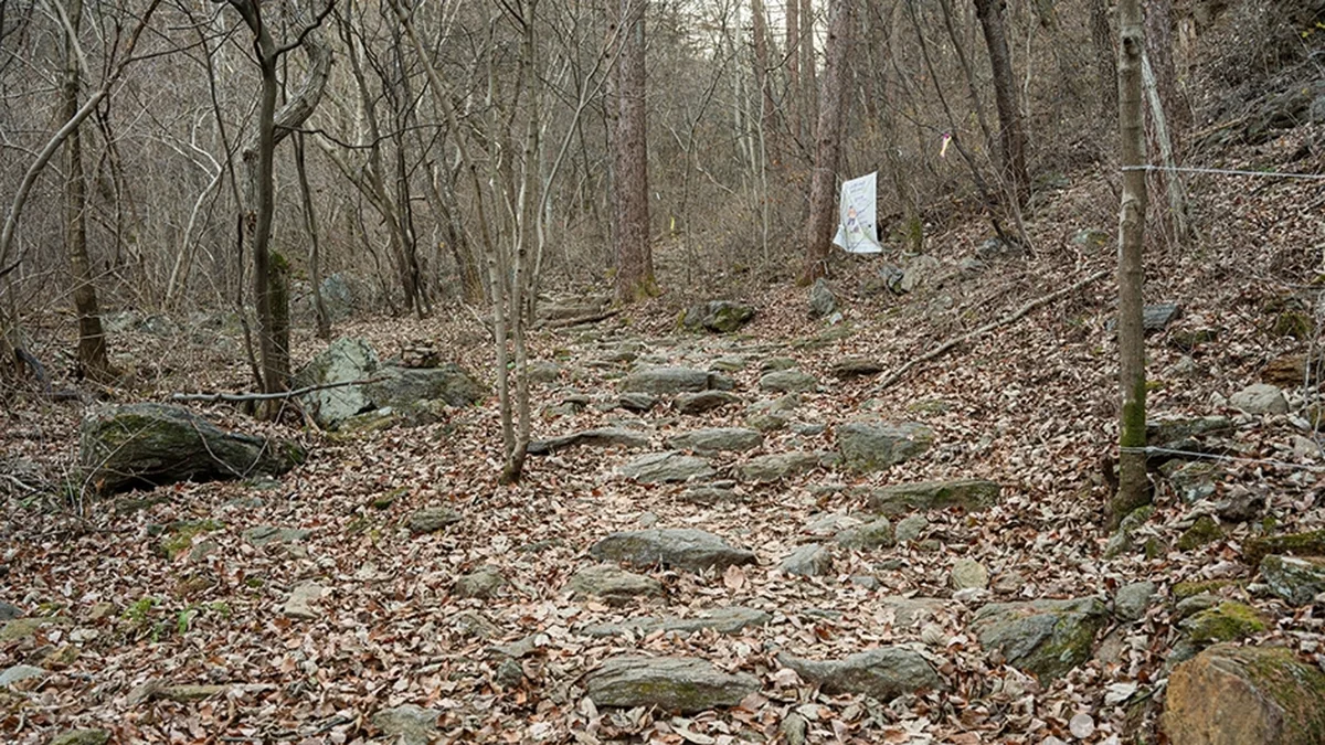 유명산