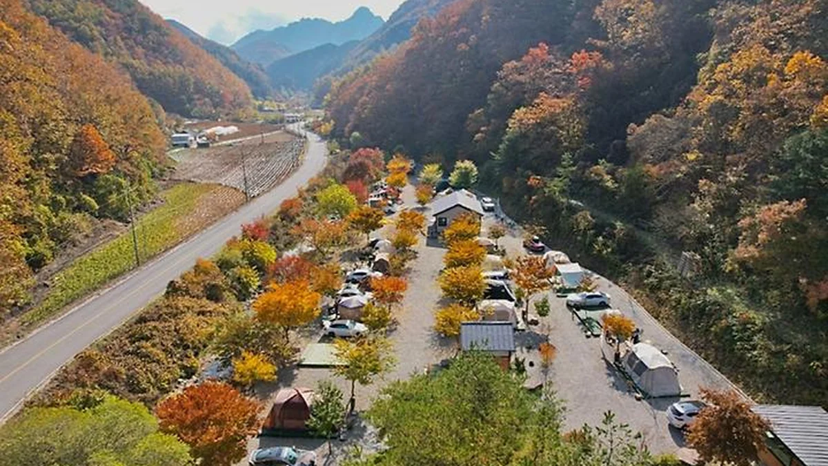 별빛뜰애