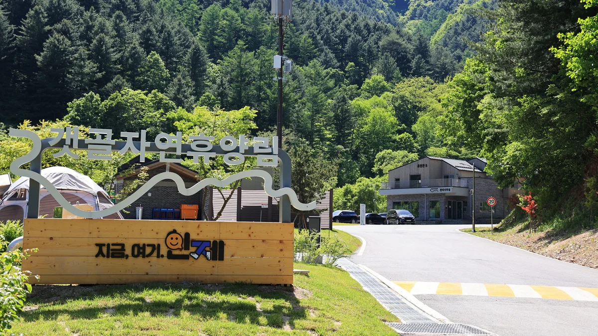 갯골자연휴양림 야영장