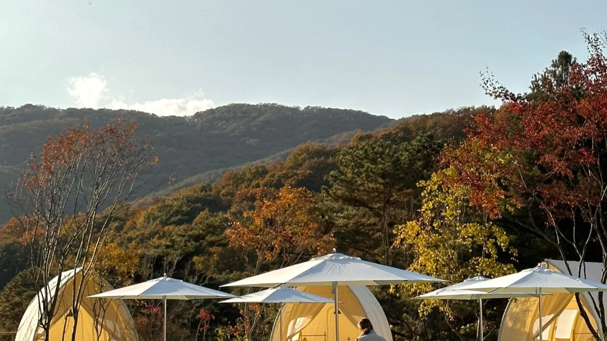비트윈