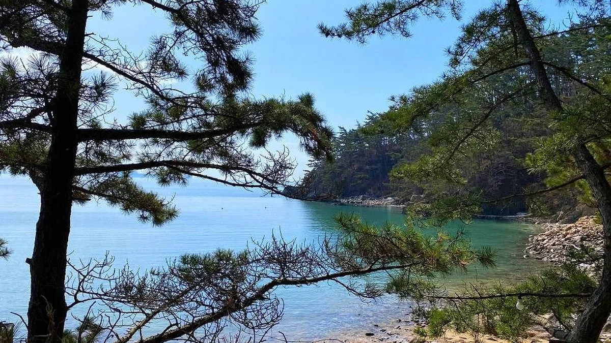 꾸지나무골해수욕장