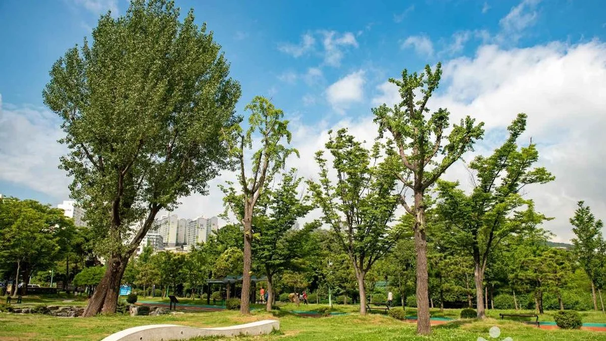 평화공원