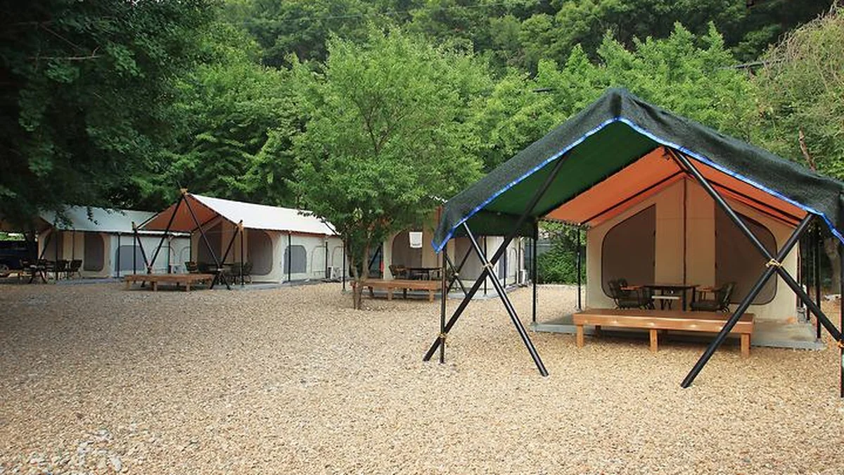 늘푸른 체험학교