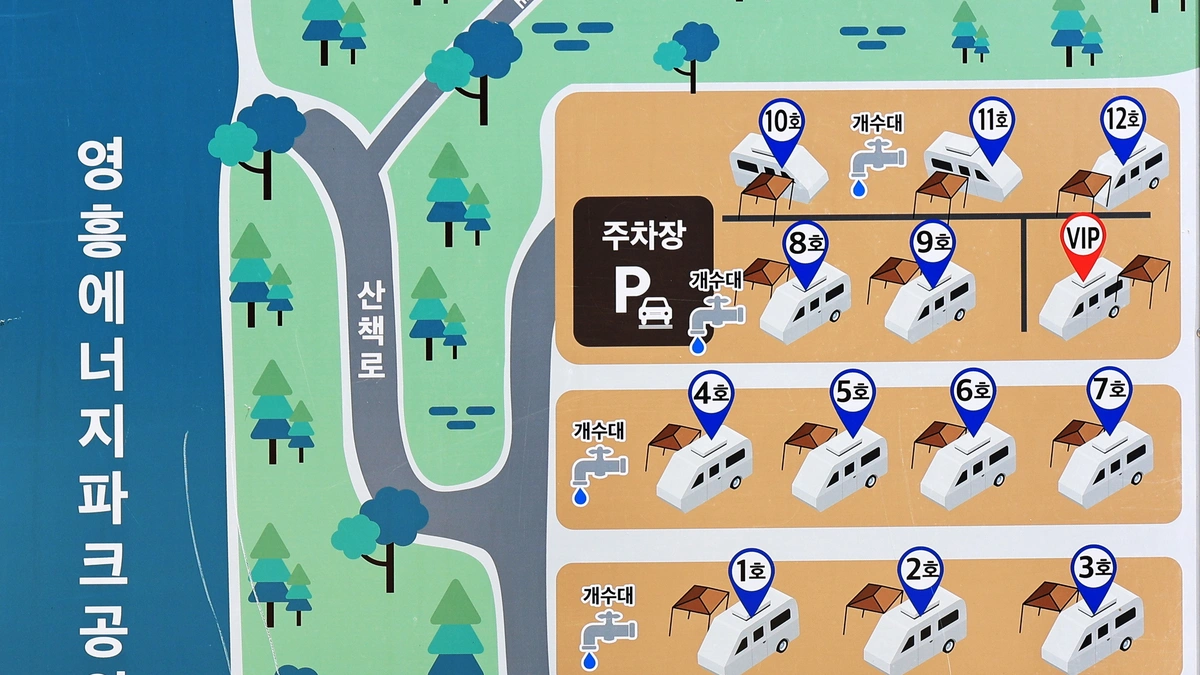 하버드카라반