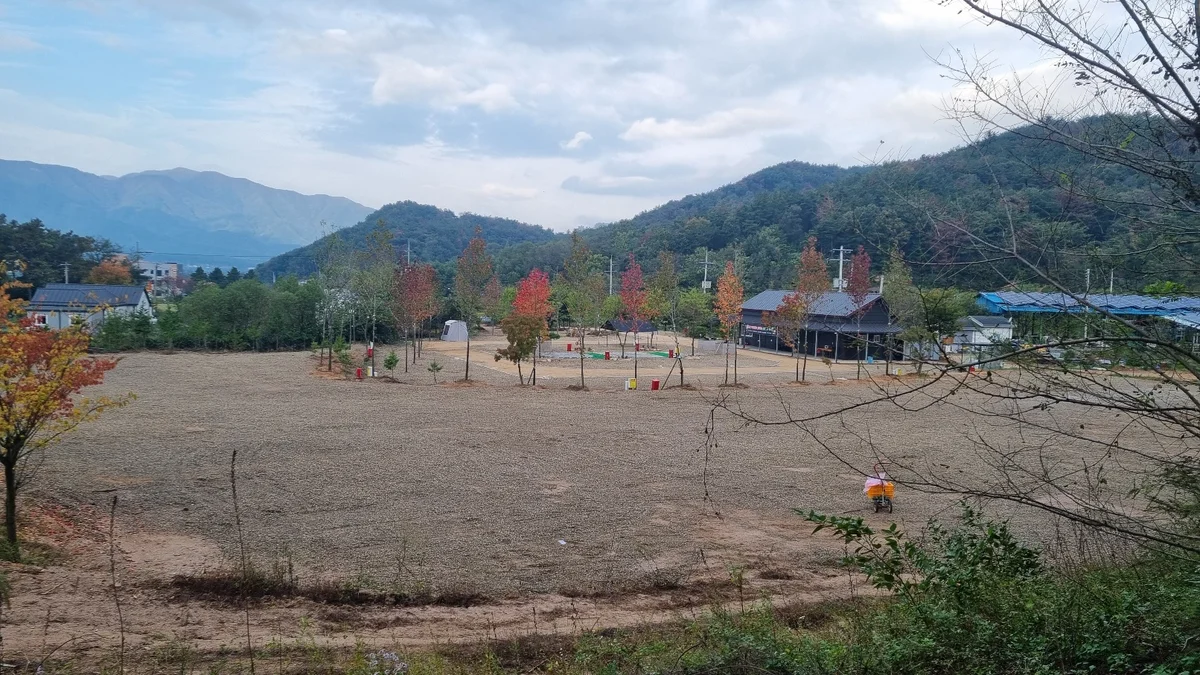 포항 서숲 오토캠핑장