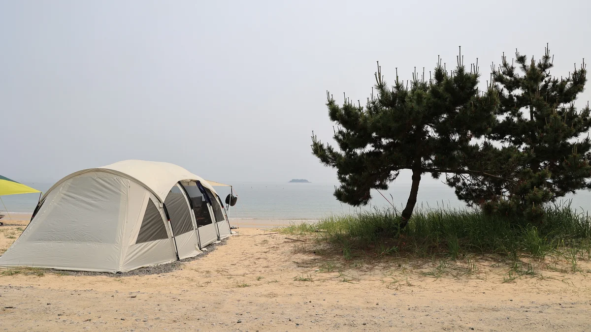 해씨유