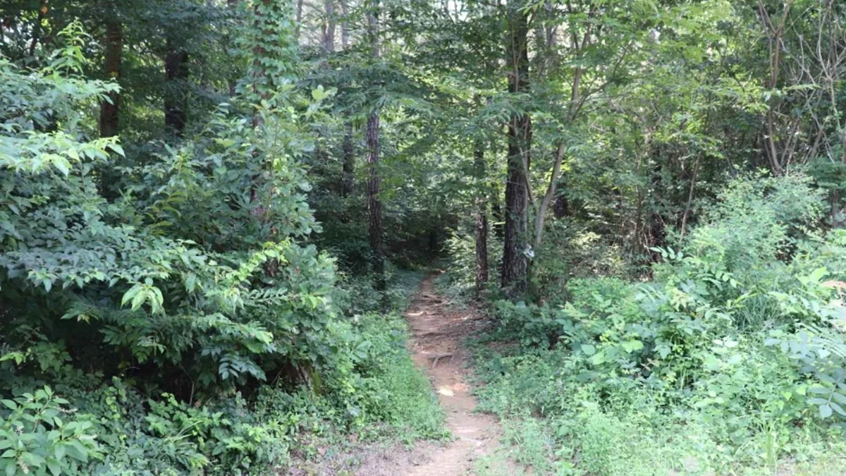보련산