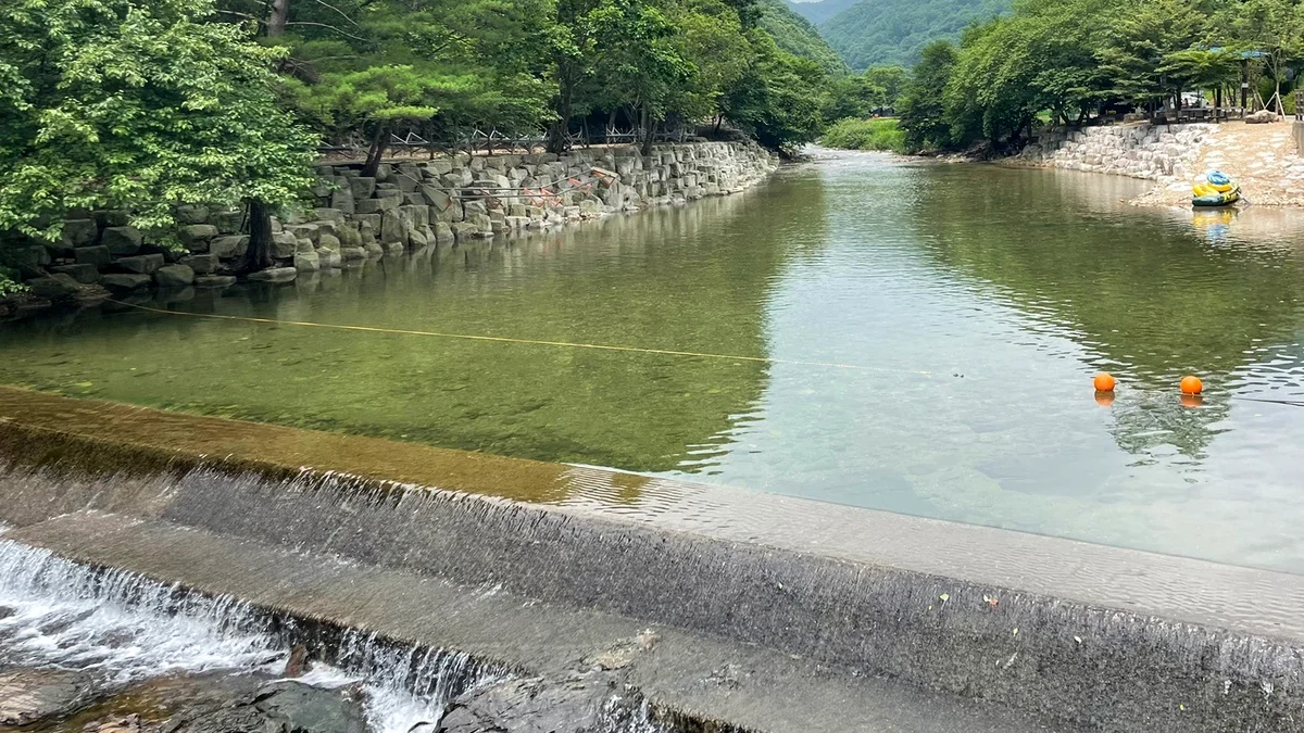 숲스토리야영장
