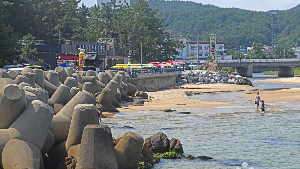 하광정항