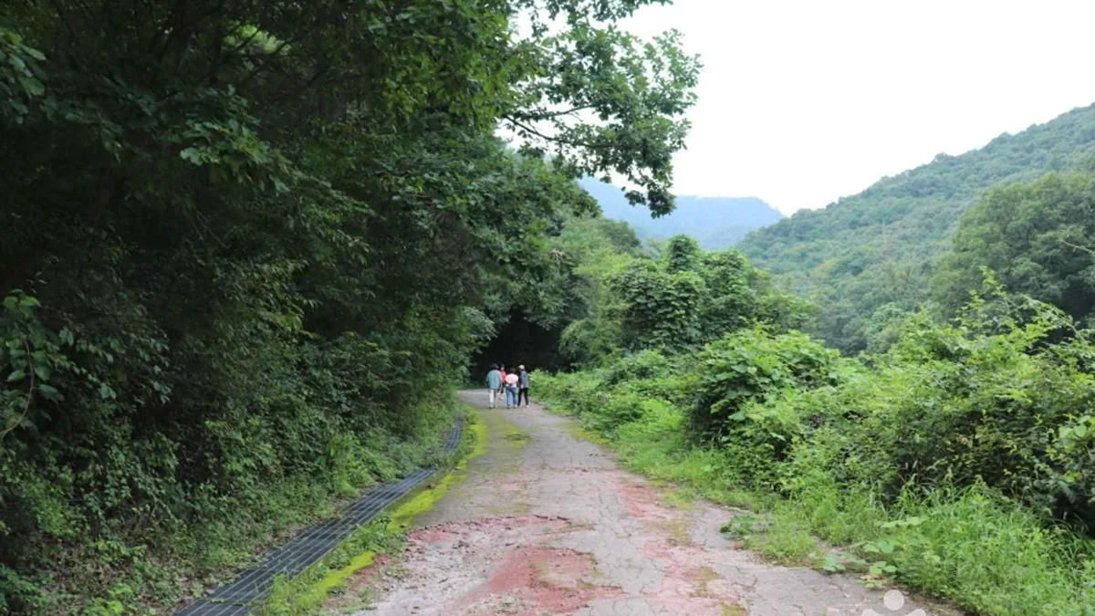 보련산