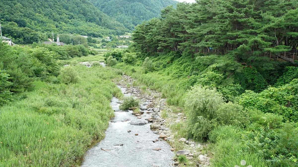 정선 가리왕산마을