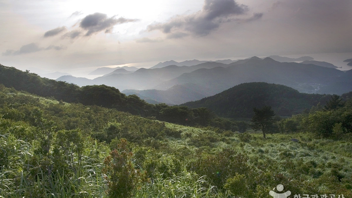대금산(거제)
