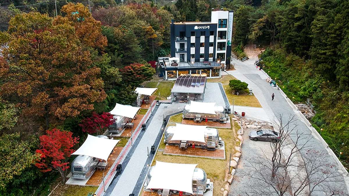 선인장