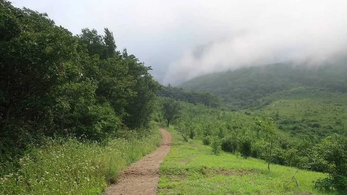 오대산국립공원