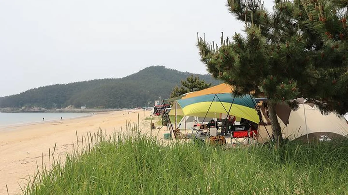 해씨유