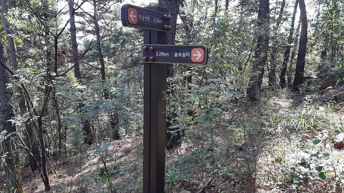 마천산산림욕장