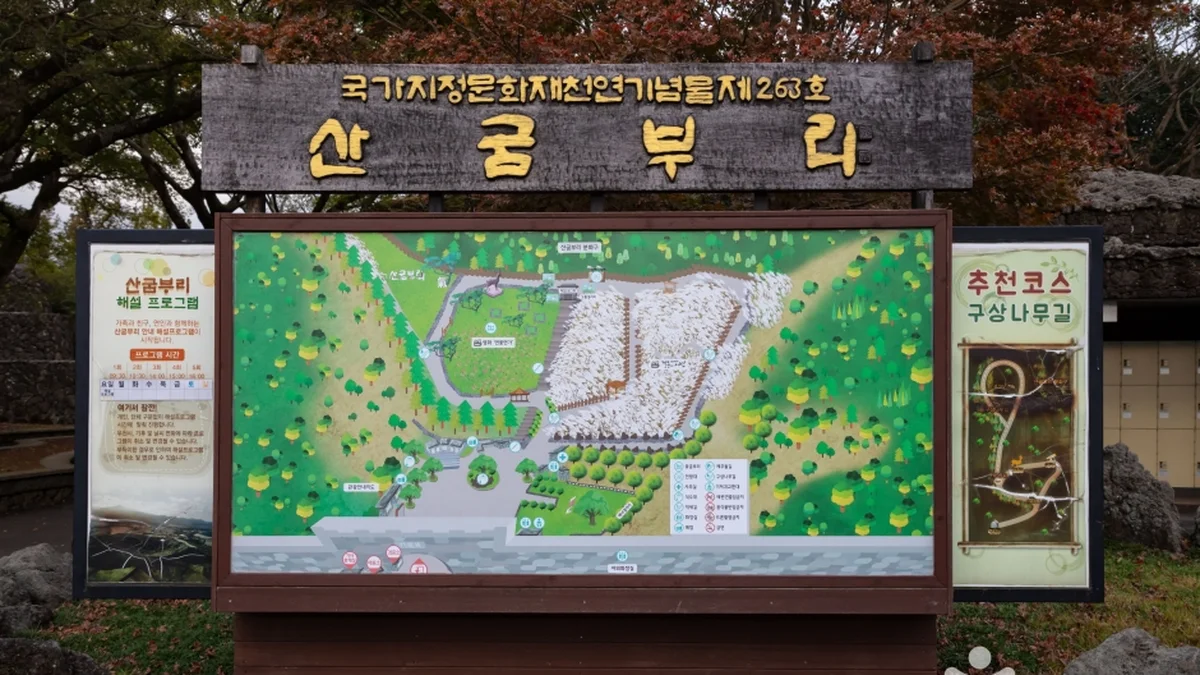 산굼부리