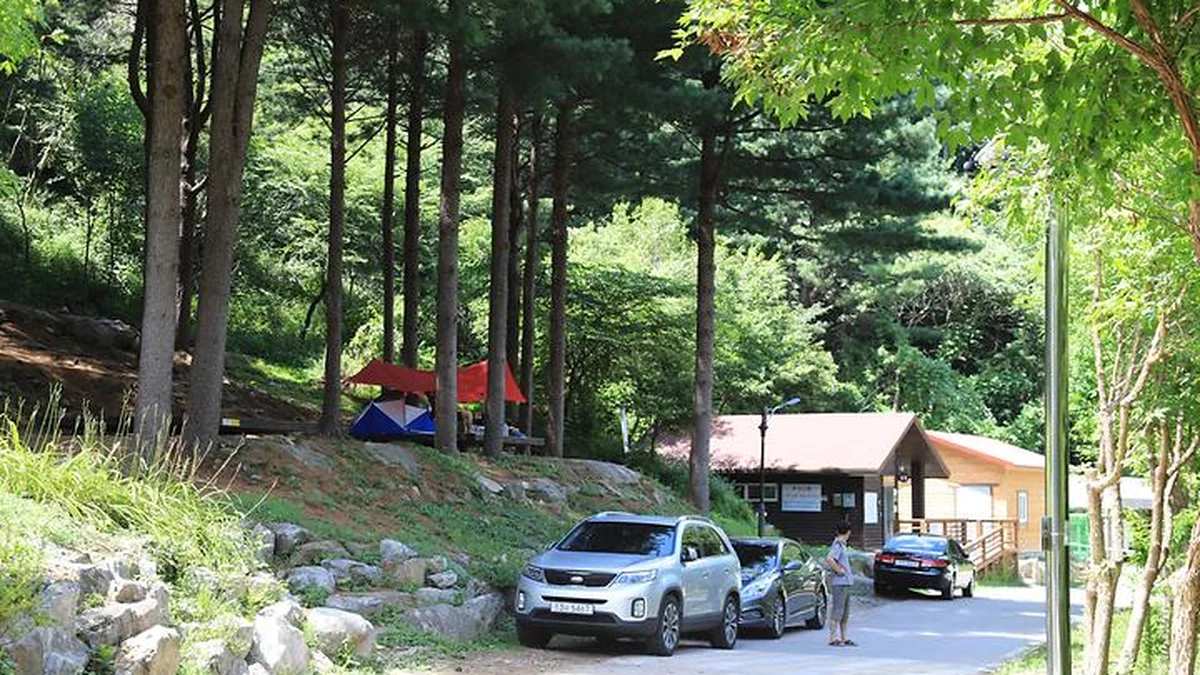 국립자연휴양림관리소(중미산자연휴양림)