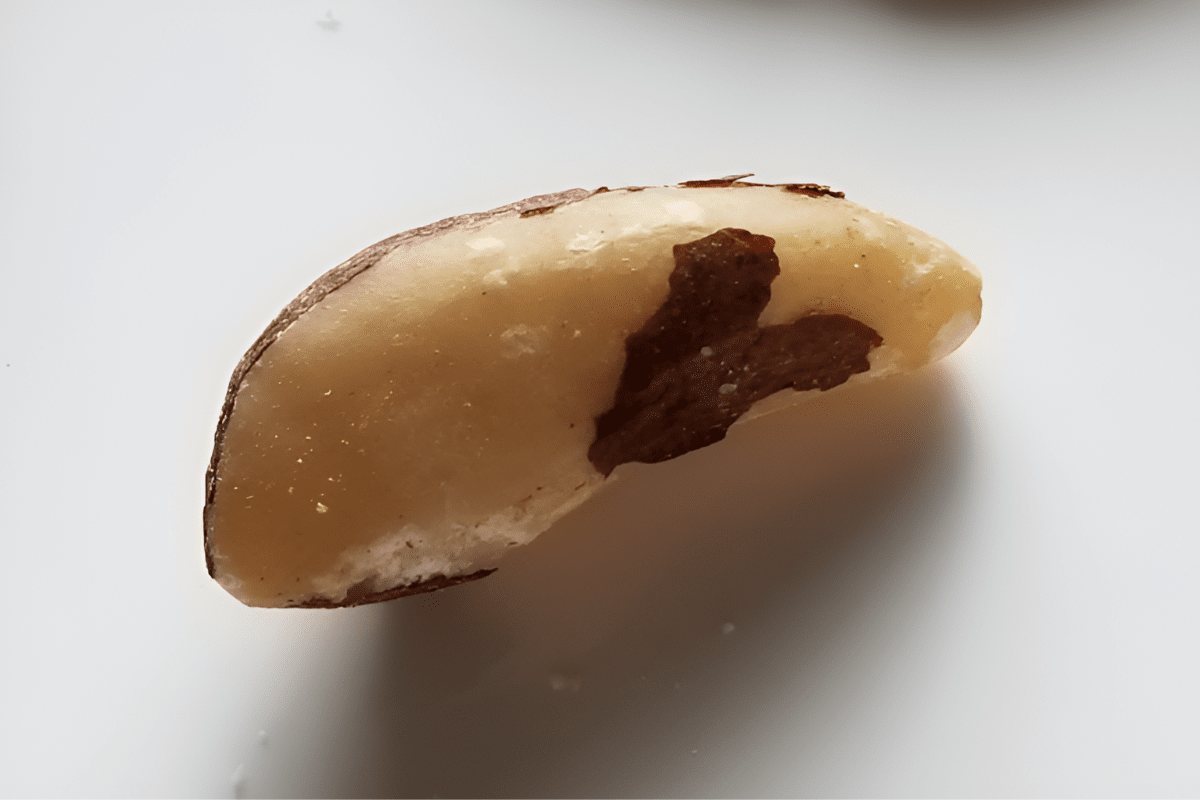 브라질 너트 / 온라인 커뮤니티
