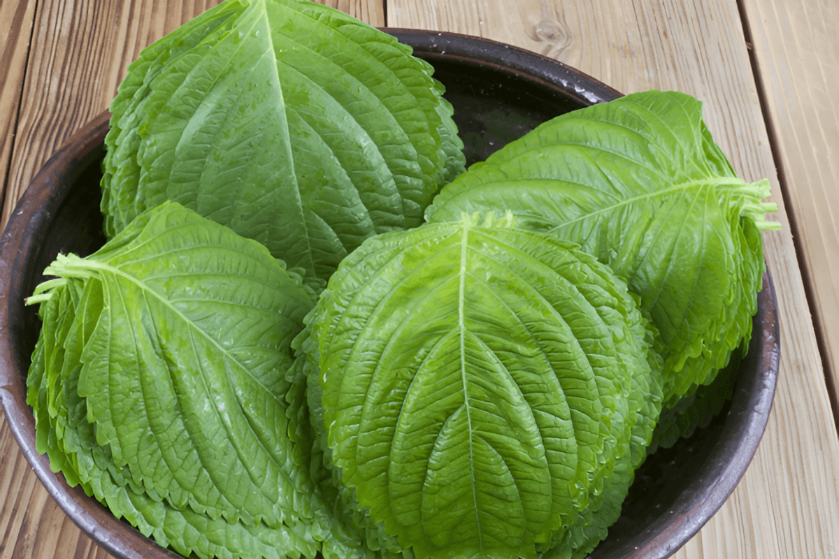 깻잎 / 온라인 커뮤니티