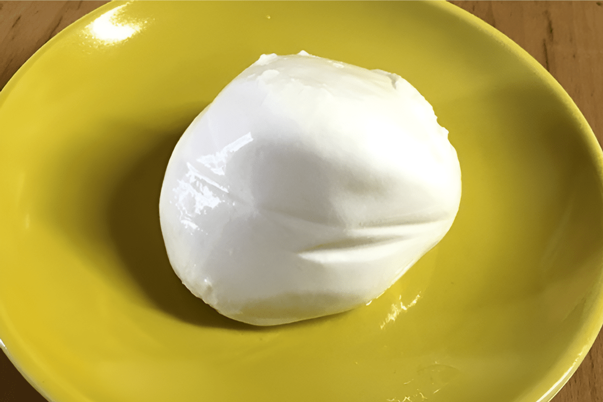 모짜렐라 치즈 / 온라인 커뮤니티
