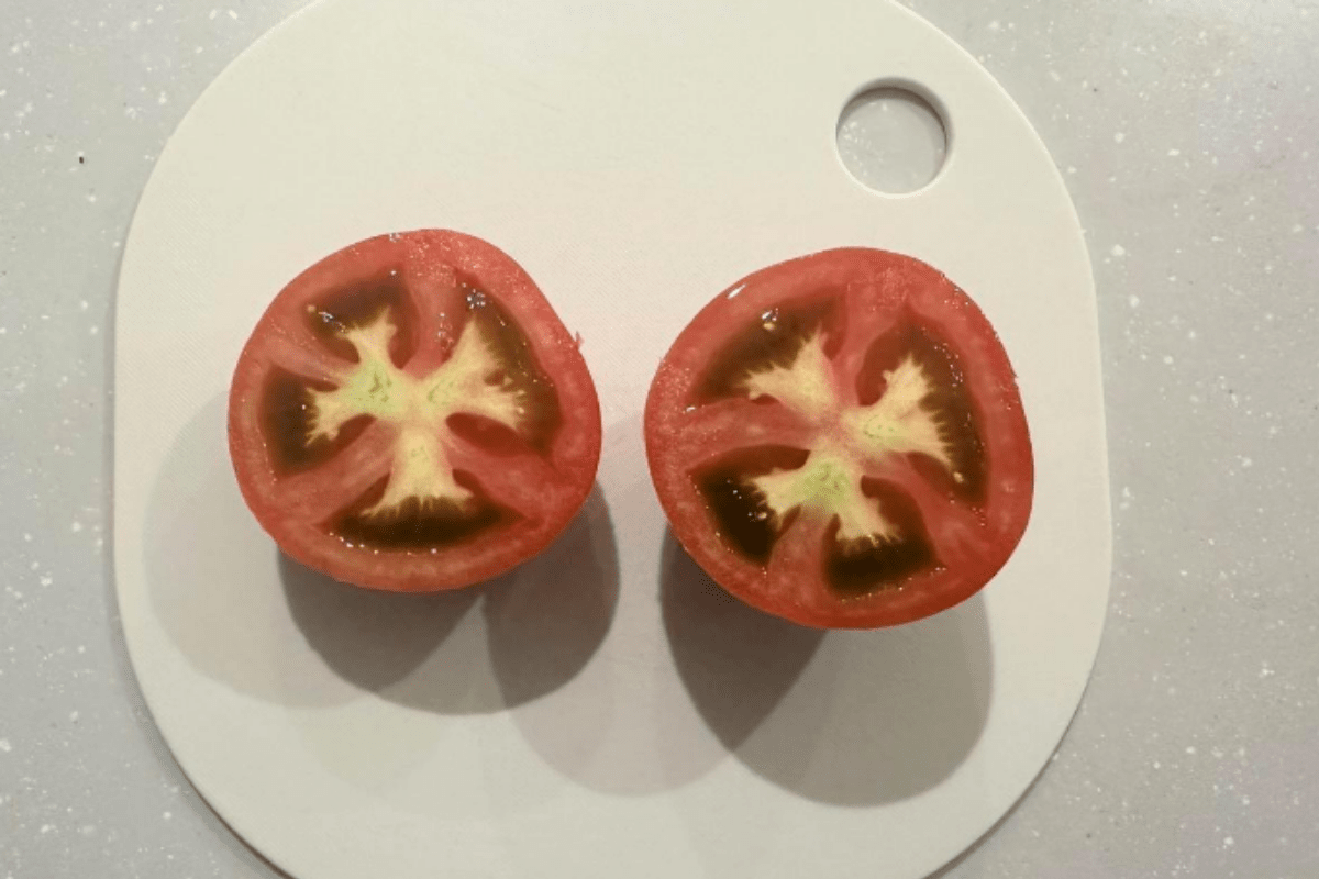 토마토 / 온라인 커뮤니티