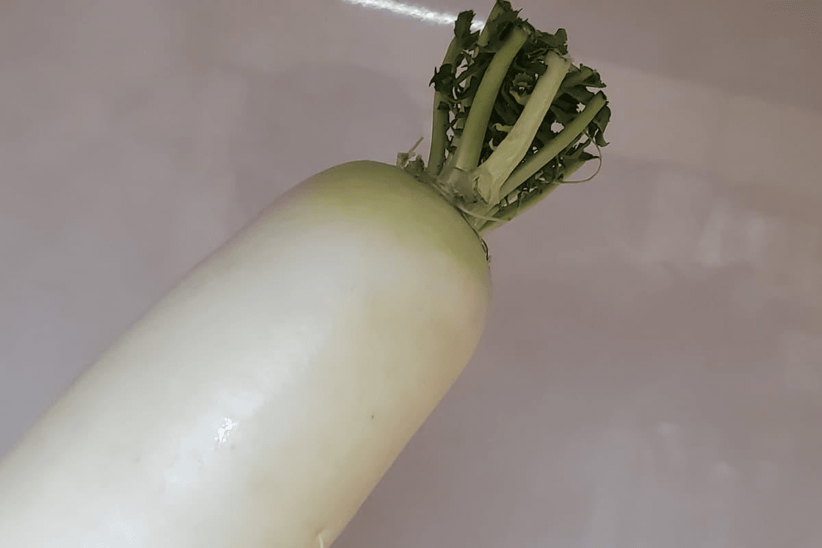 생 무 / 온라인 커뮤니티
