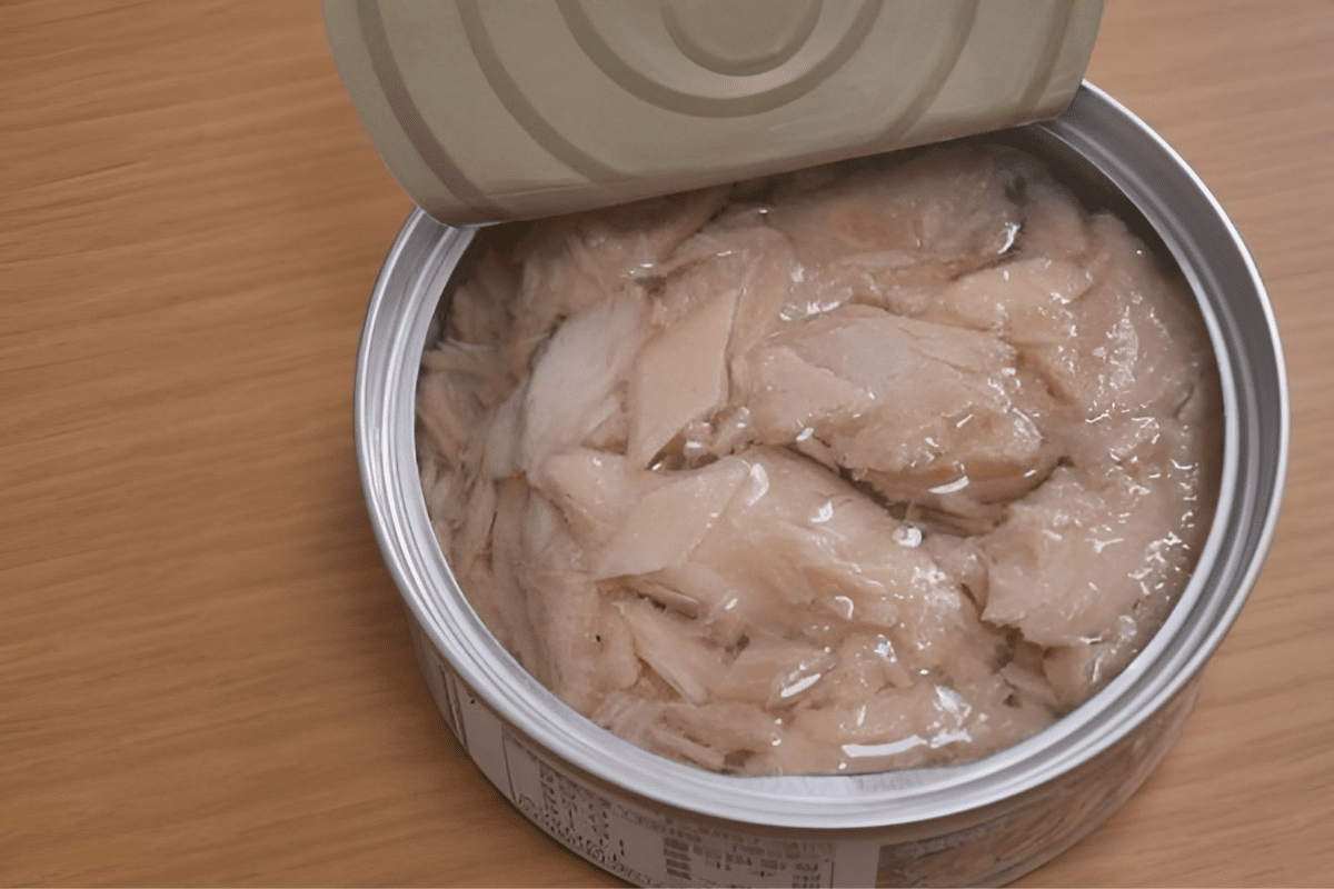 캔참치 / 온라인 커뮤니티