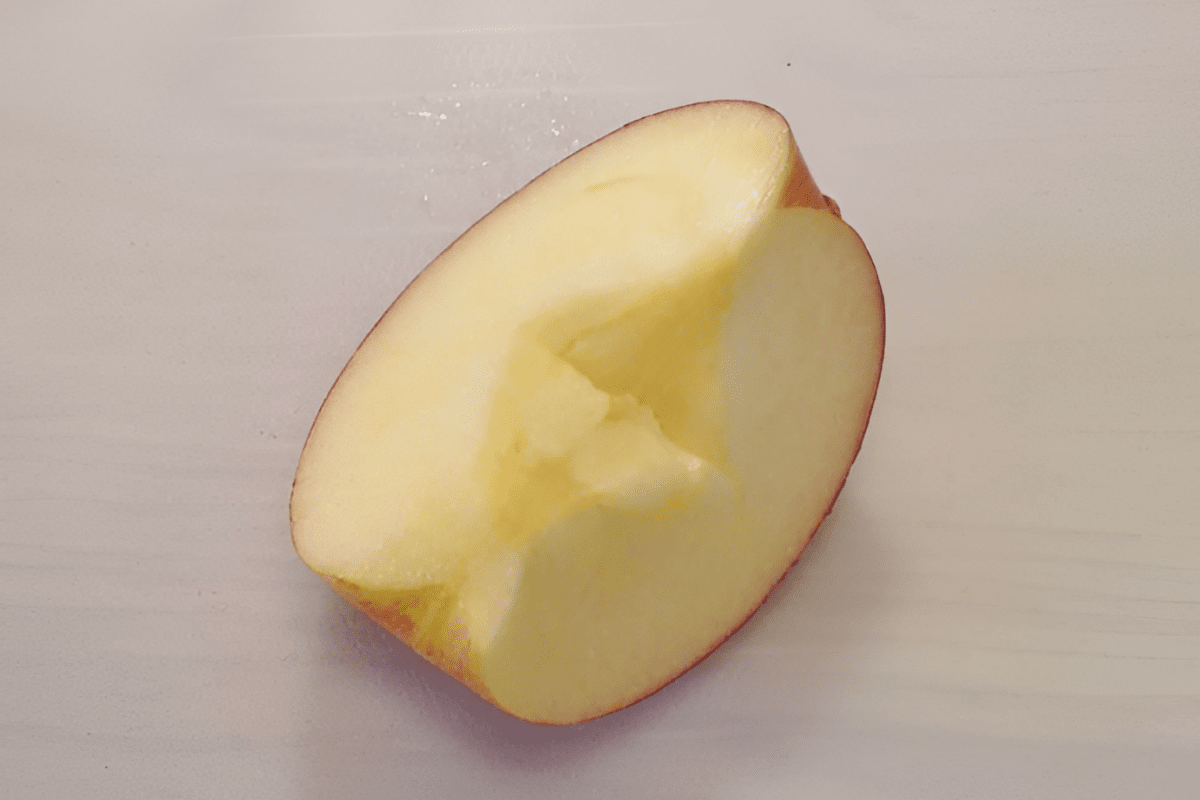 사과 / 온라인 커뮤니티