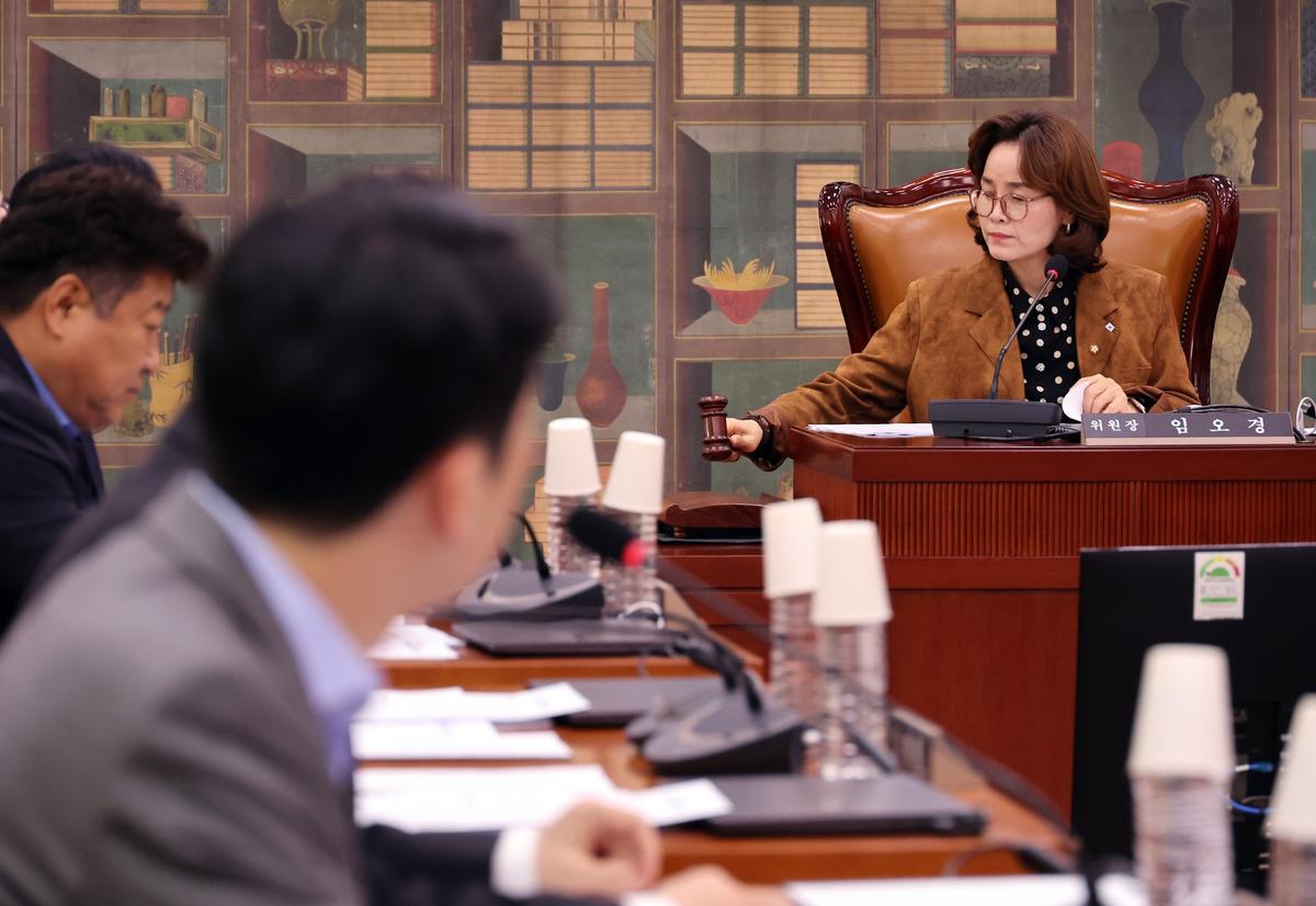 문화체육관광위원회 문화예술법안심사소위원회
지난해 11월 여의도 국회에서 열린 문화체육관광위원회 문화예술법안심사소위원회에서 임오경 소위원장. 2025.11.20