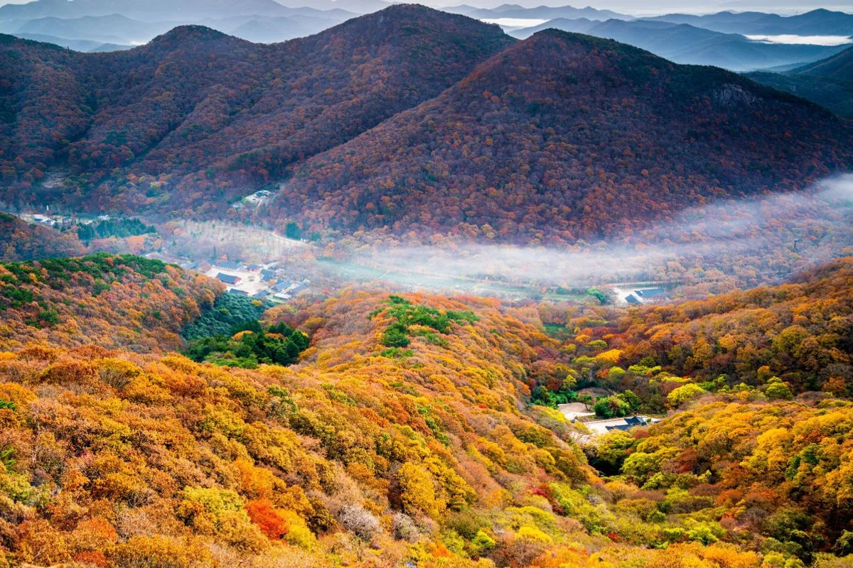선운산 도립공원 - 선운사 입장료 무료 여행