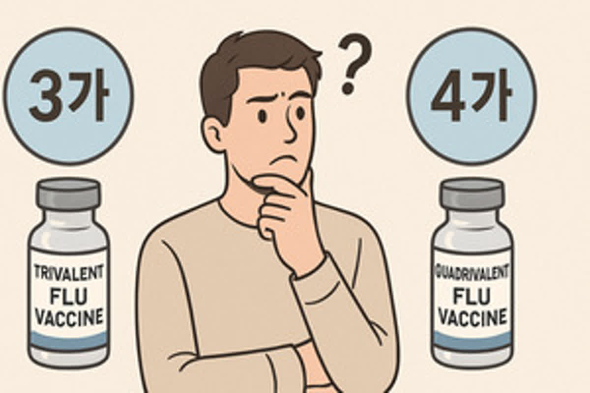 WHO가 올해 3가 독감 백신 권고했는데… 비싼 4가 고집하는 사람들