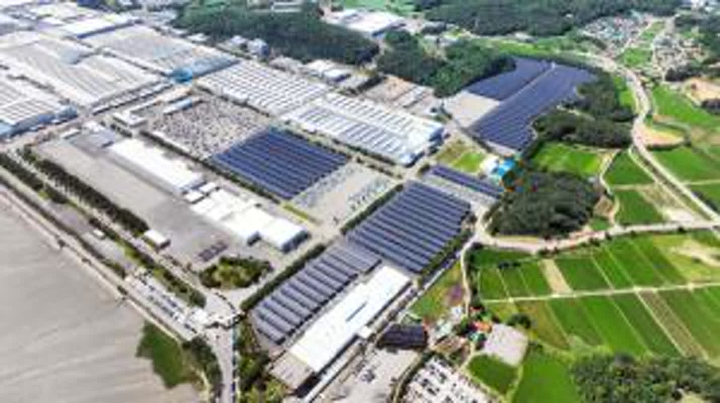 기아, 화성 오토랜드 '노동자 차량 추돌 사망' 중대재해 발생…ESG 안전불감?