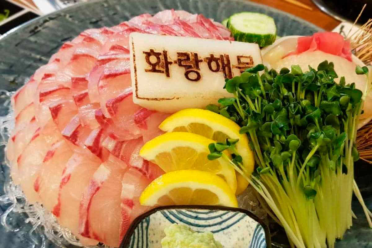 신선한 바다의 식감을 가장 직관적으로 즐길 수 있는 회 맛집 5곳 | 핫식신